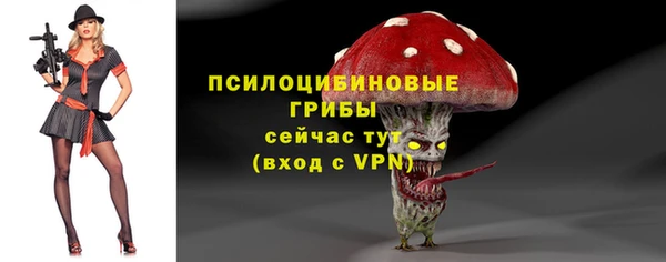 PSILOCYBIN Богородицк