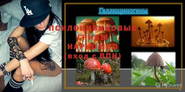 PSILOCYBIN Богородицк