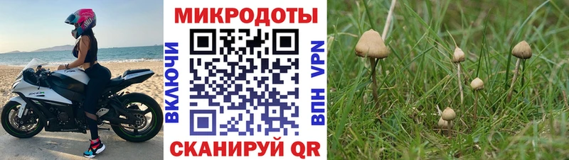 Псилоцибиновые грибы GOLDEN TEACHER  omg зеркало  Севастополь 
